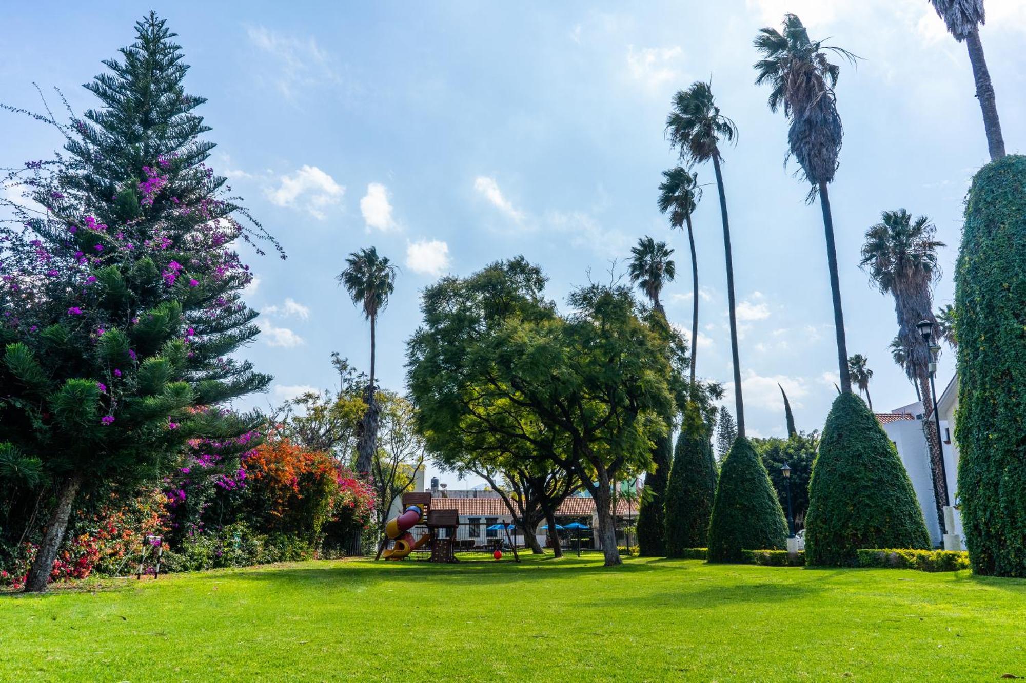 Flamingo Hotel 4*