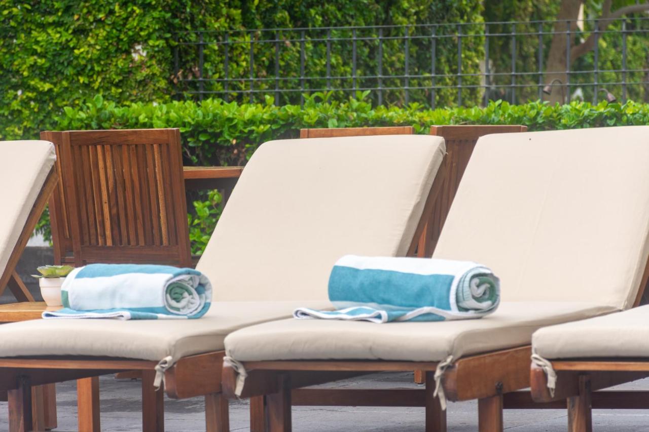 Hotel Flamingo Querétaro