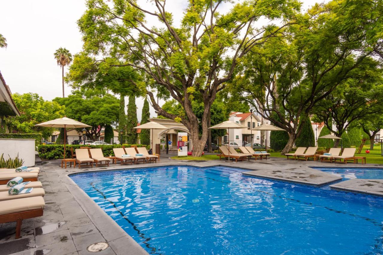 Hotel Flamingo 4*
