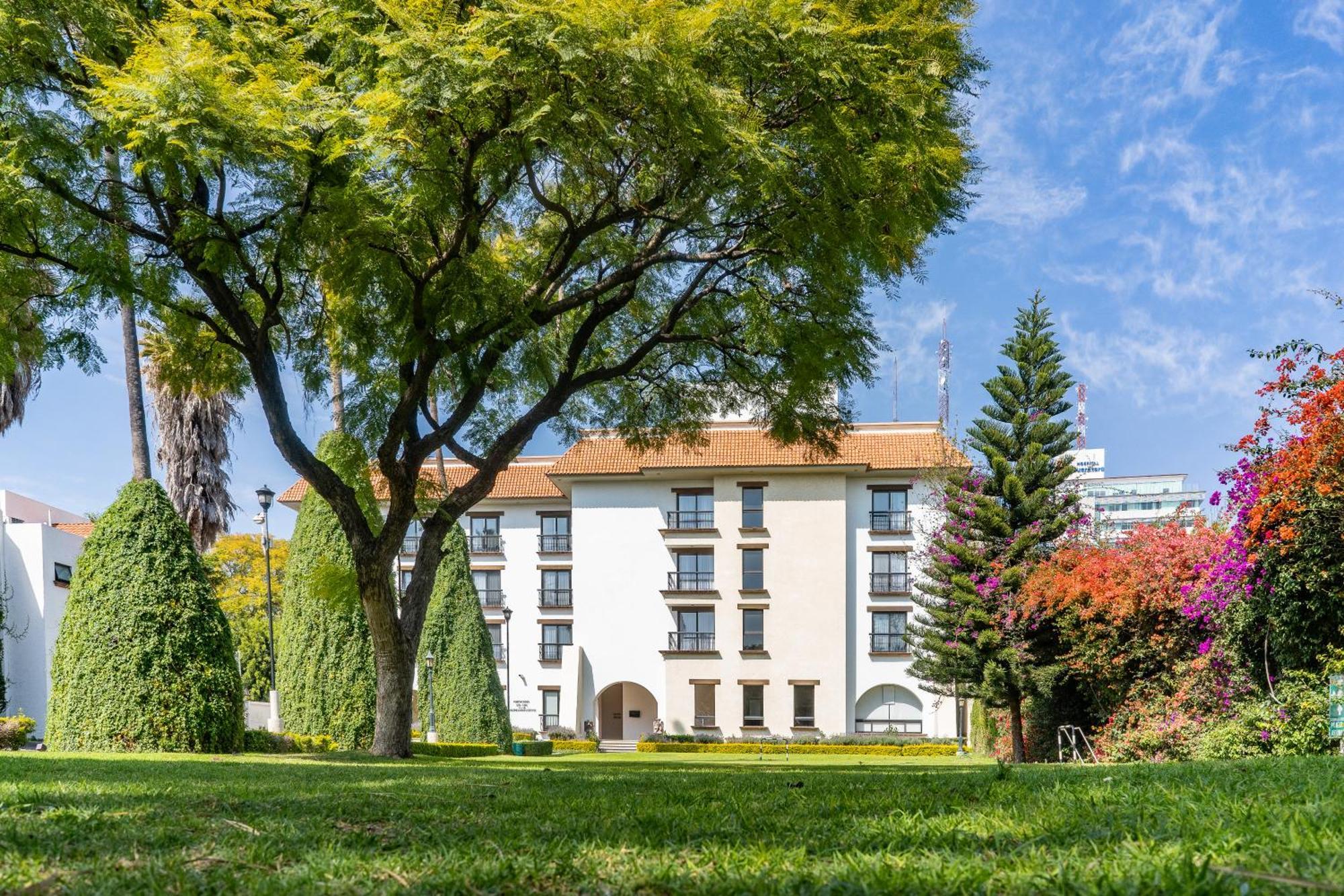 Flamingo 4* Querétaro