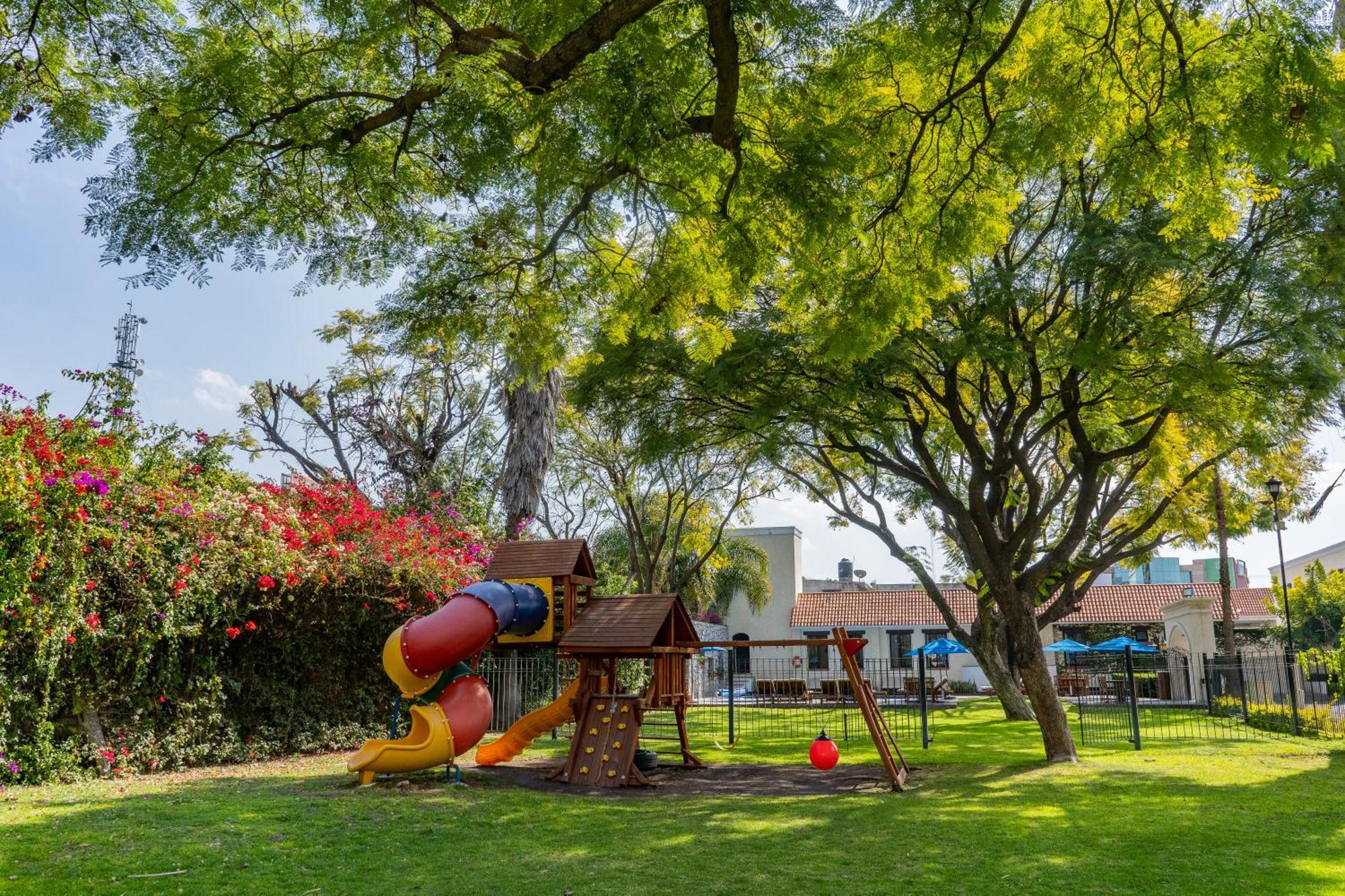 Flamingo Querétaro