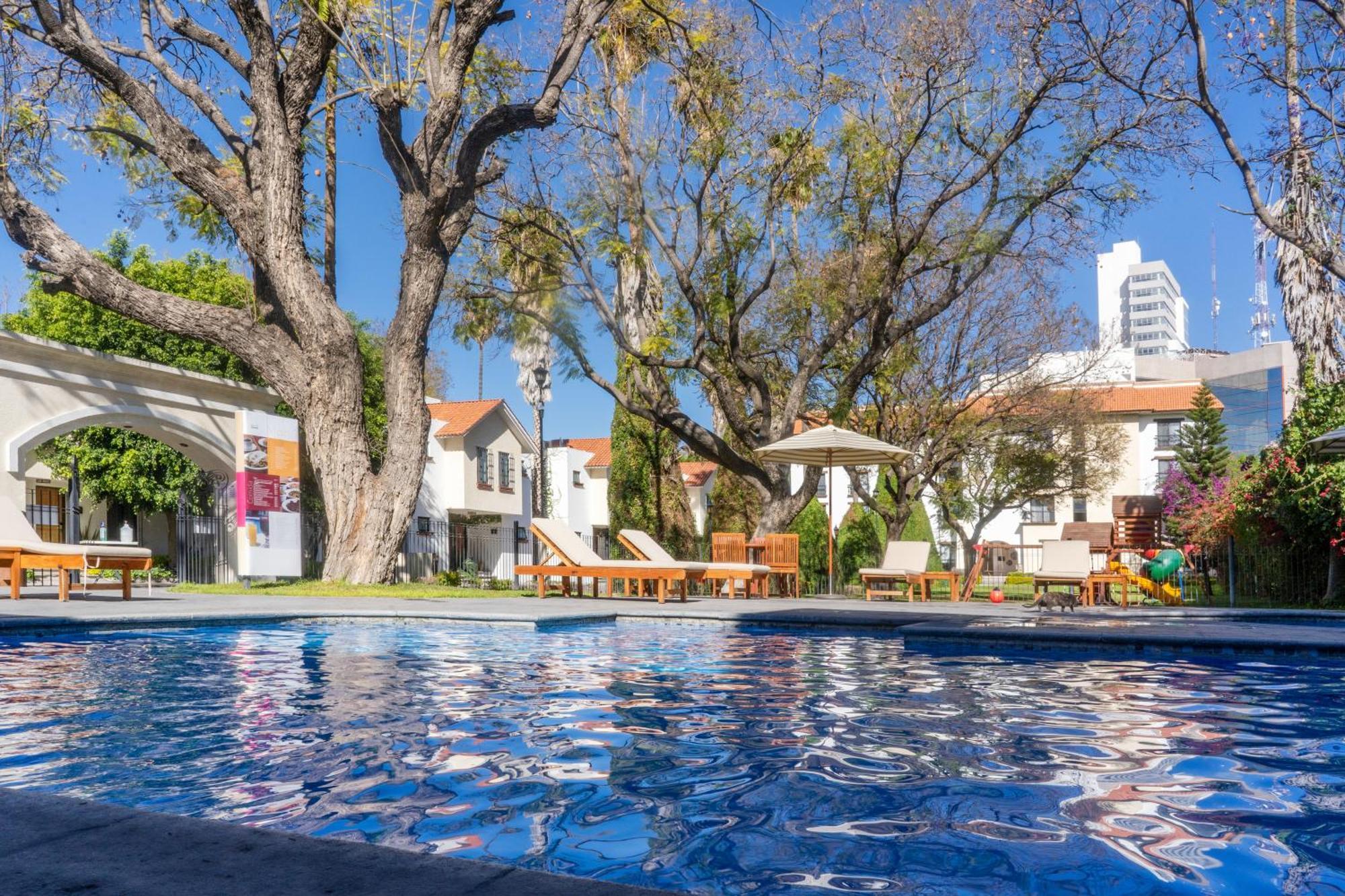 Hotel Flamingo 4*